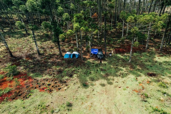 Les city-pass pour visiter les villes : vraiment économique?