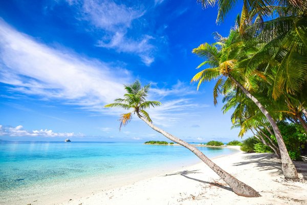 Les critères à prendre en compte avant de louer une maison en bord de mer